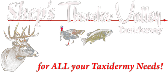shep's thunder valley logo